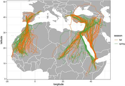 Spatial and Temporal Variability in Migration of a Soaring Raptor Across Three Continents